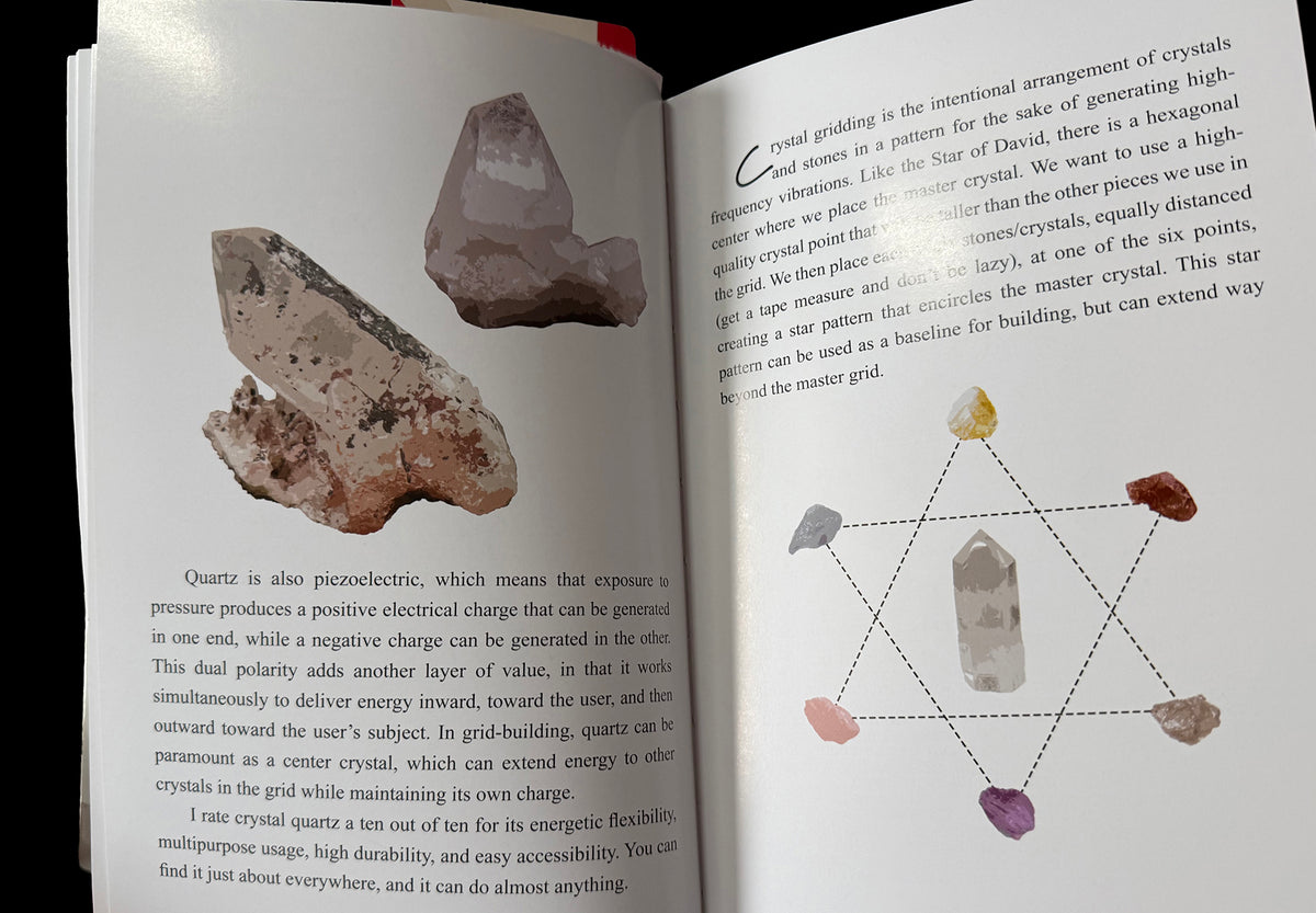 I'm Not Crazy My Crystals Have Consciousness Vol. 1 Chris Petrocelli