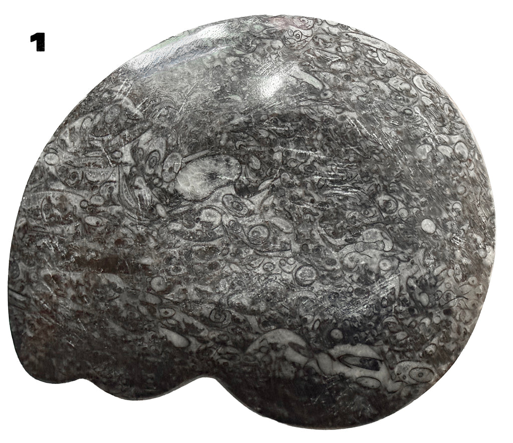 Fossilized Limestone with Orthoceras/ammonite, Polished Offering bowls from Morocco