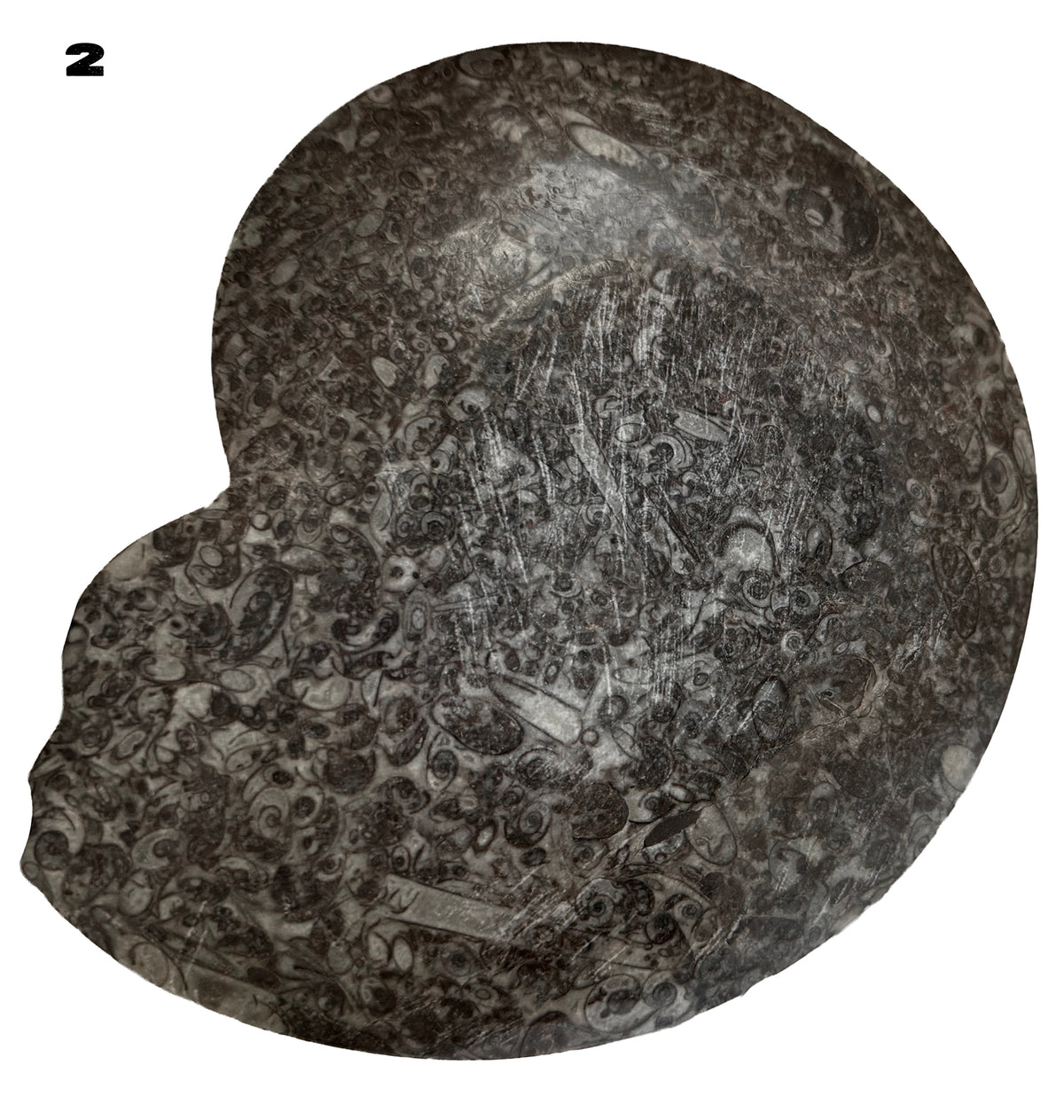 Fossilized Limestone with Orthoceras/ammonite, Polished Offering bowls from Morocco