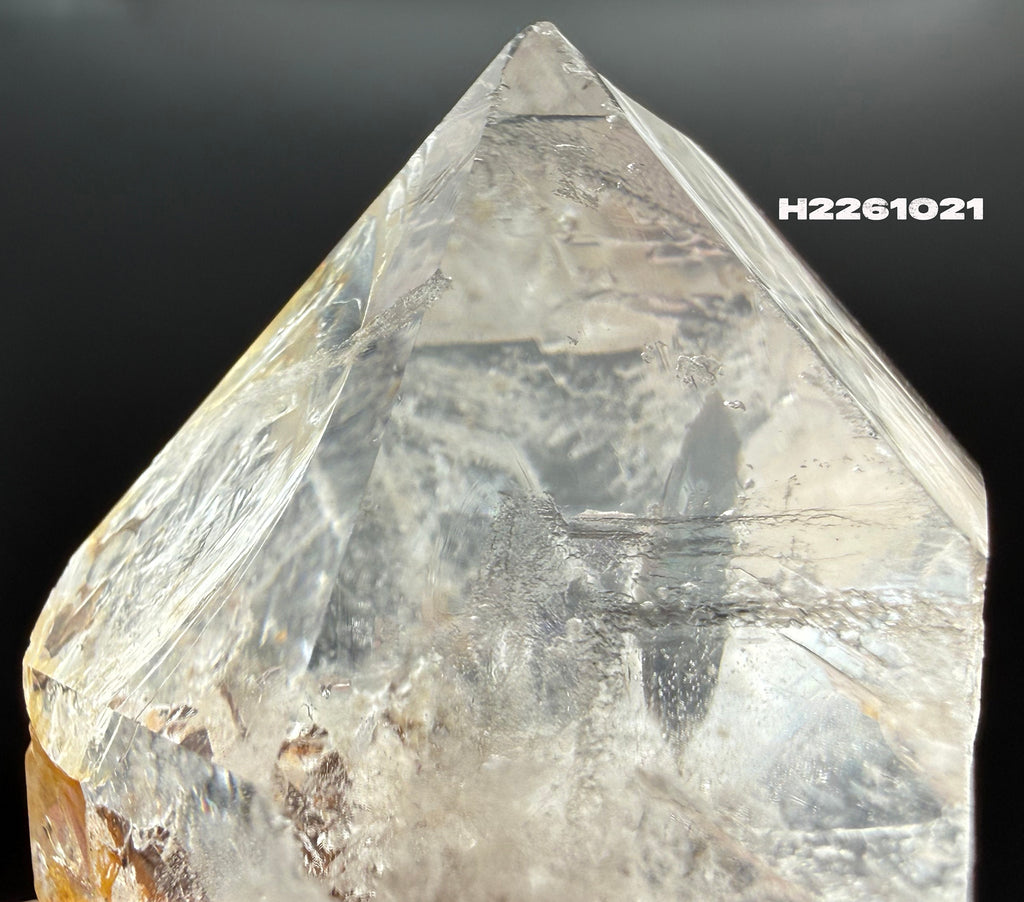 Herkimer Diamond, from Fonda Mountain, New York 66g H2261021