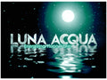 June Strawberry Moon Energizing Moon Water Luna Acqua 12 Fl OZ