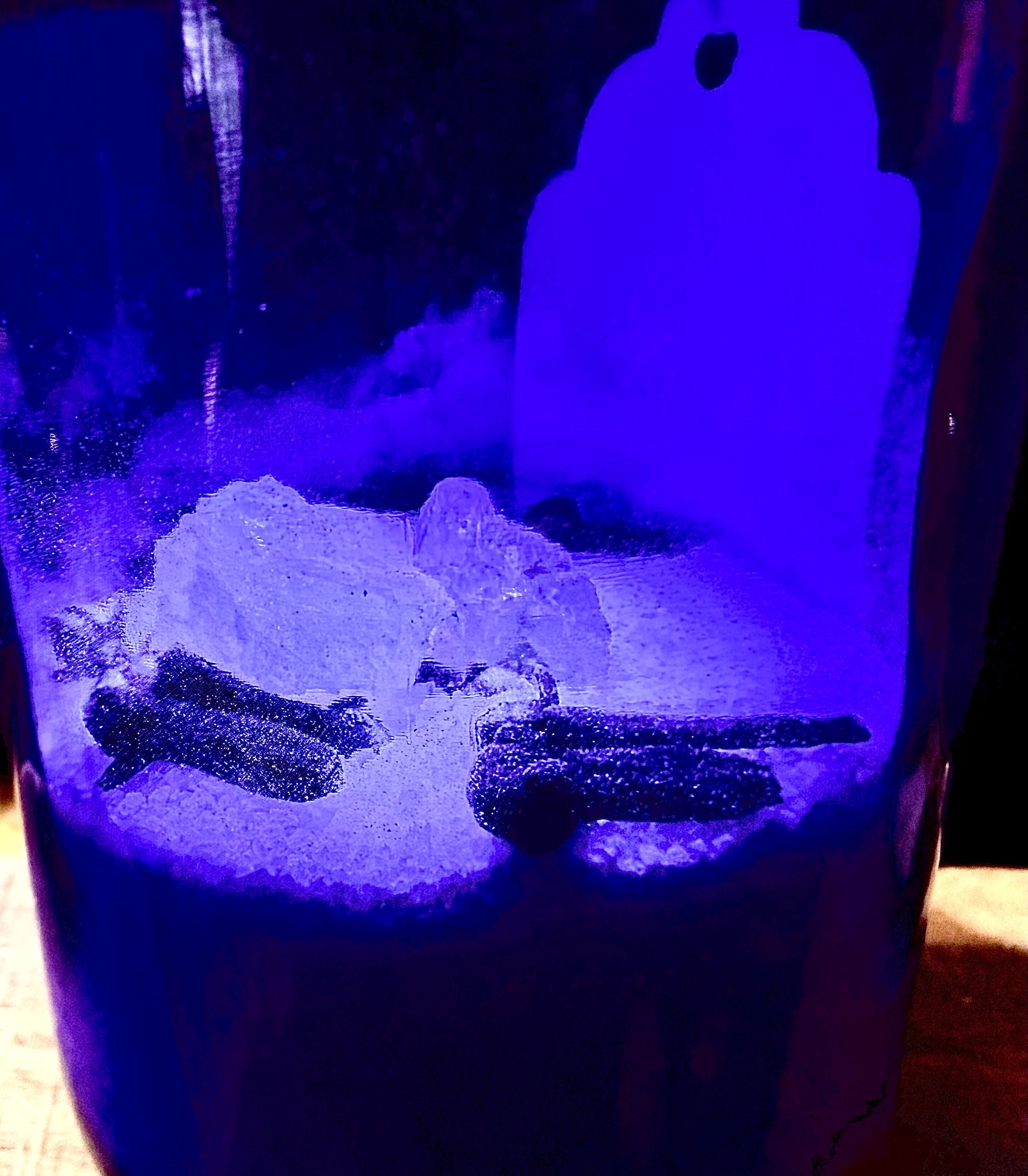 NRG2GO Bottle for Energetic Purification, Protection, & Amplification - the EPPA! EPPA! Mix