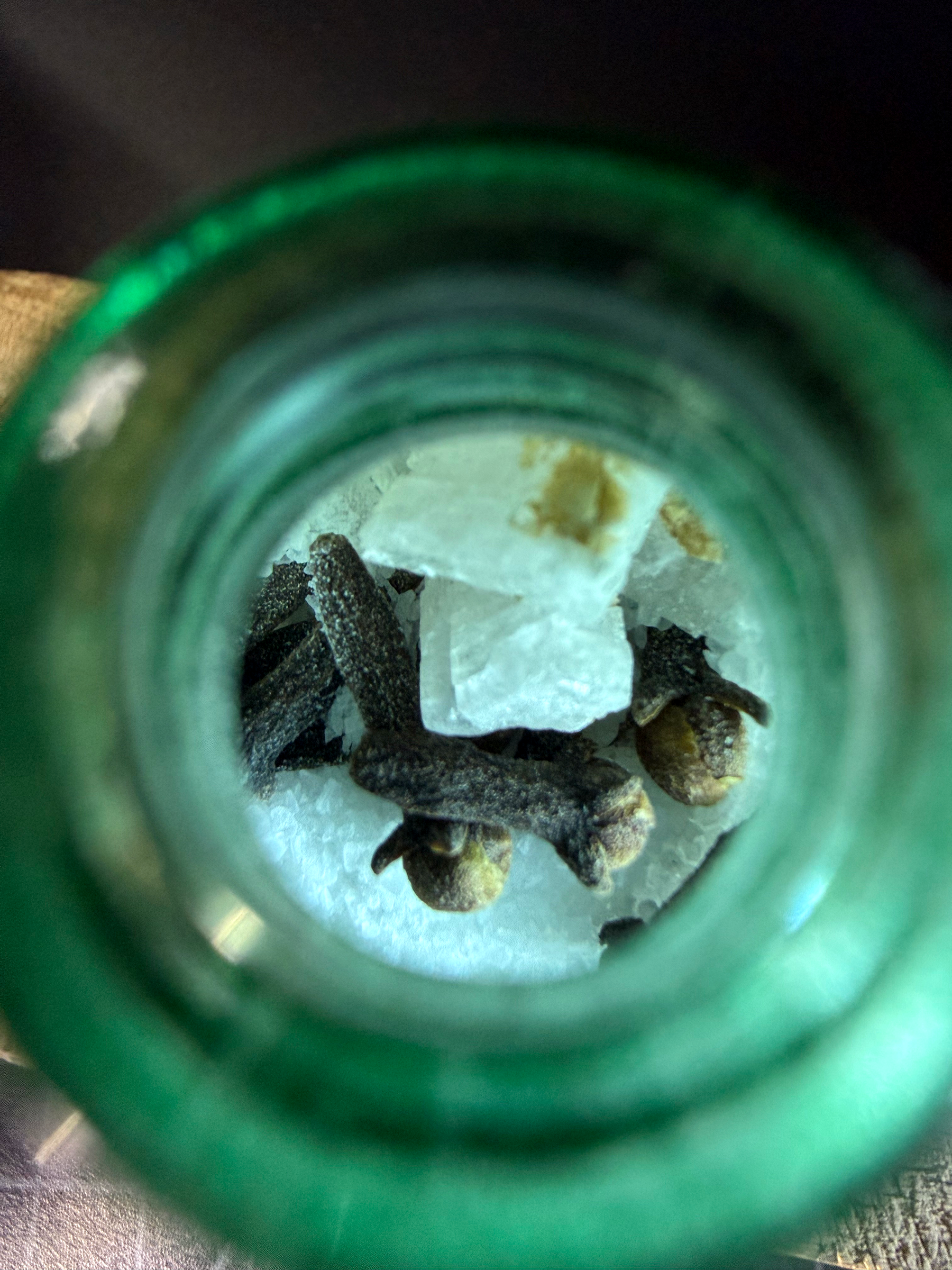 NRG2GO Bottle for Energetic Purification, Protection, & Amplification - Includes Genuine Herkimer Diamonds