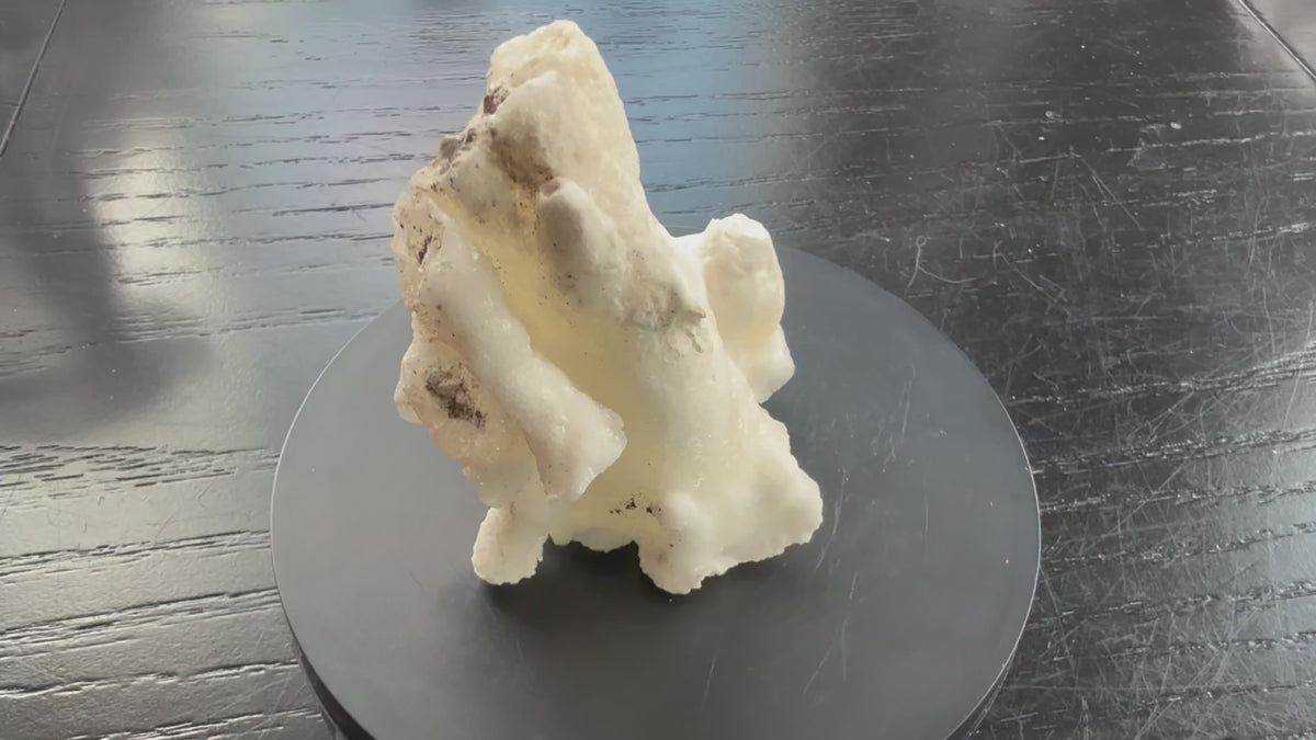 Flos Ferri Aragonite (calcite) from Santa Eulalia District (Chihuahua, Mexico)