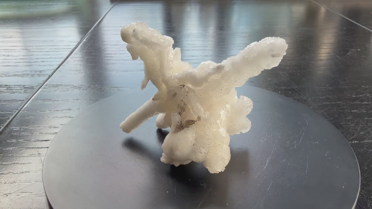 Flos Ferri Aragonite (calcite) from Santa Eulalia District (Chihuahua, Mexico)