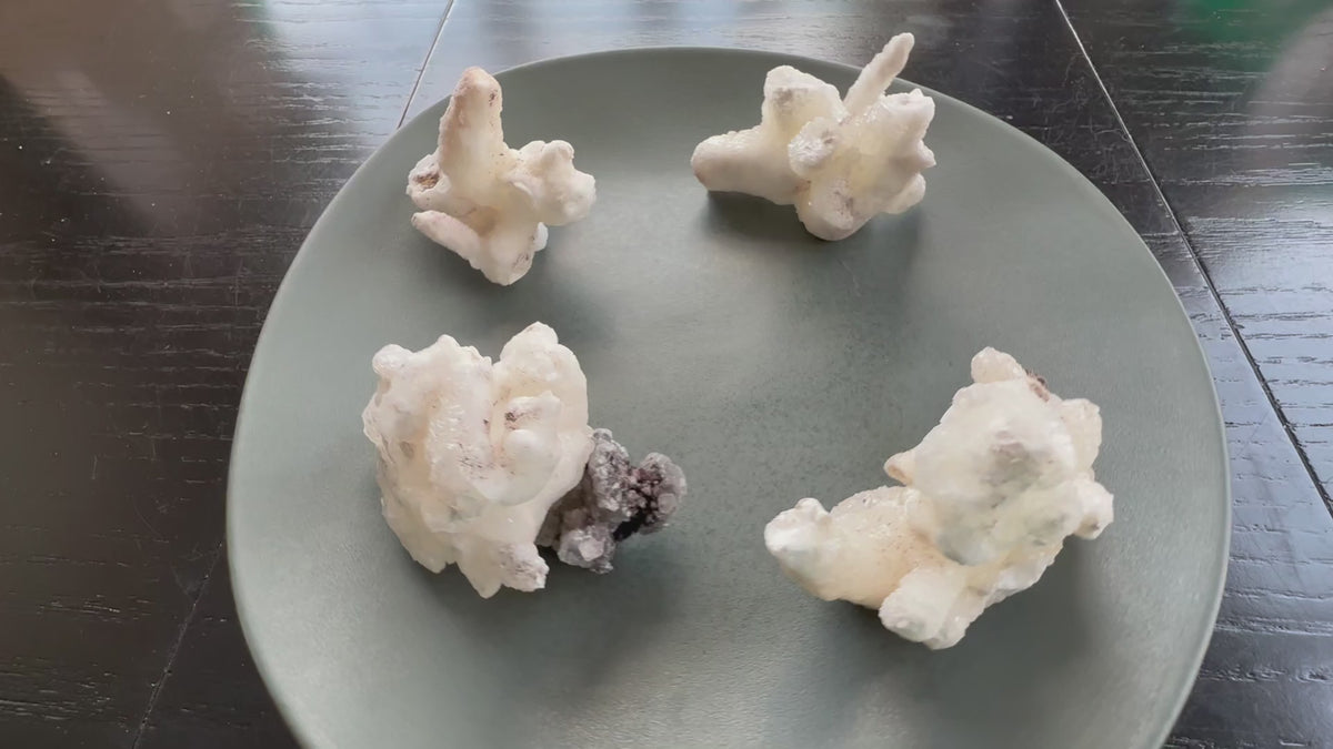 Flos Ferri Aragonite (calcite) from Santa Eulalia District (Chihuahua, Mexico)