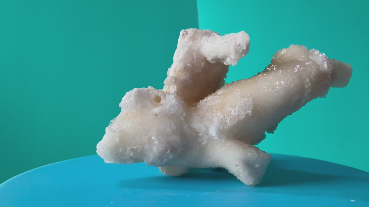 Flos Ferri Aragonite (calcite) from Santa Eulalia District (Chihuahua, Mexico)