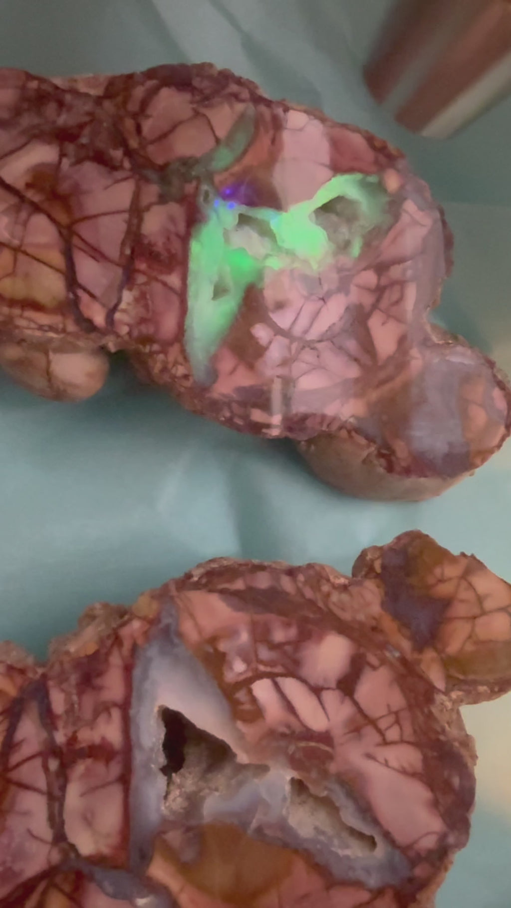 Thunder Eggs (Lithophysa) Split and Polished Pairs ALL Fluoresce