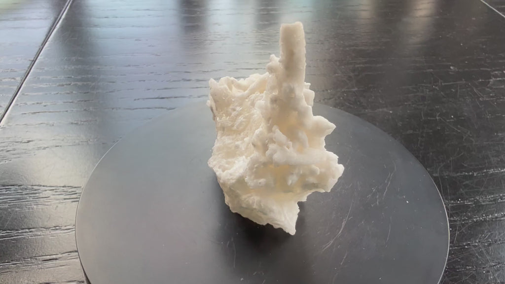 Flos Ferri Aragonite (calcite) from Santa Eulalia District (Chihuahua, Mexico)