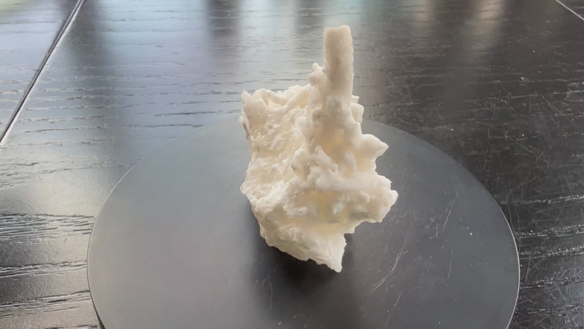 Flos Ferri Aragonite (calcite) from Santa Eulalia District (Chihuahua, Mexico)