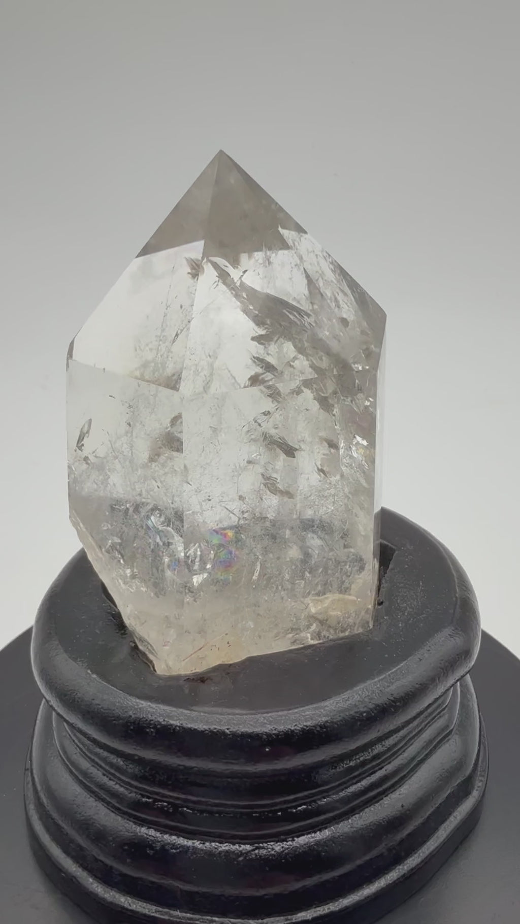 Quartz Root #2 Polished, w/ Wooden Hand carved Stand QP02092526
