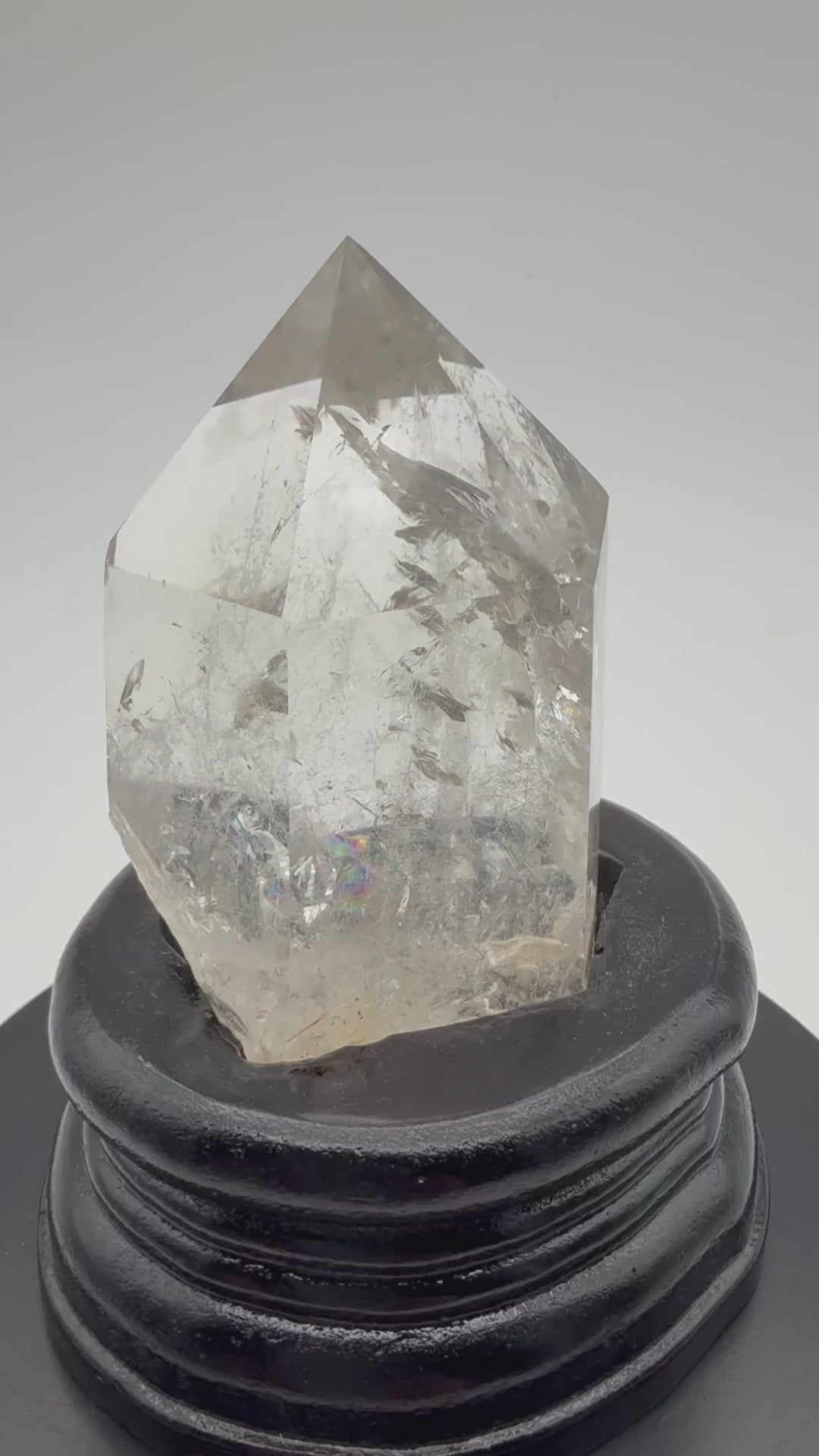 Quartz Root #2 Polished, w/ Wooden Hand carved Stand QP02092526