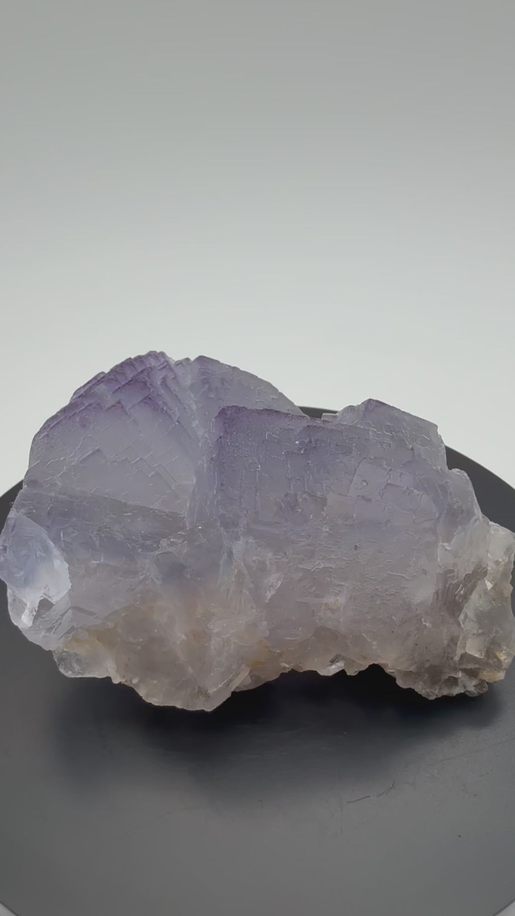 Fluorite - Purple Fluorite  specimens