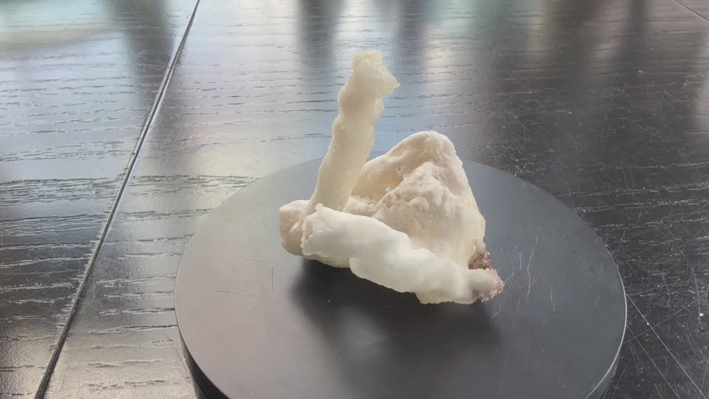 Flos Ferri Aragonite (calcite) from Santa Eulalia District (Chihuahua, Mexico)