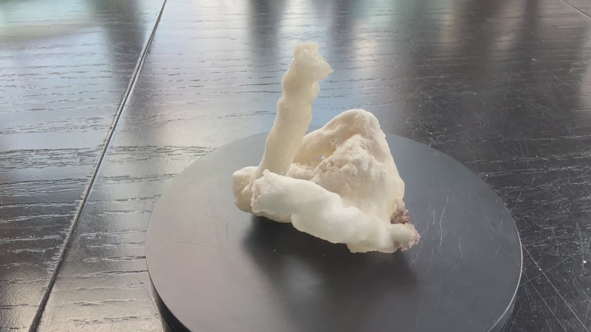 Flos Ferri Aragonite (calcite) from Santa Eulalia District (Chihuahua, Mexico)