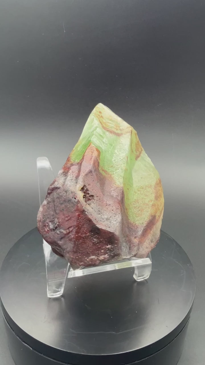 Calcite "Dinosaur Tooth" Calcite from Pakistan